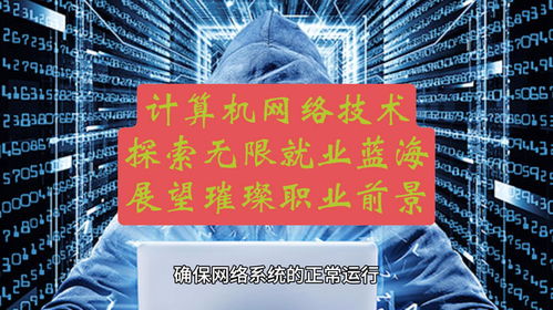 計算機網絡技術 探索無限就業藍海，展望璀璨職業前景